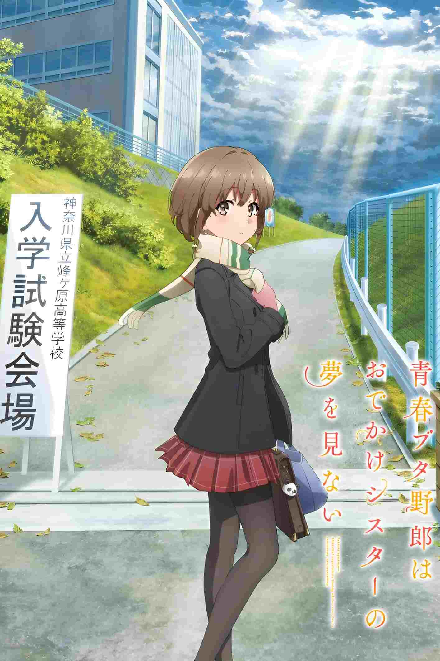  青春ブタ野郎はおでかけシスターの夢を見ない 