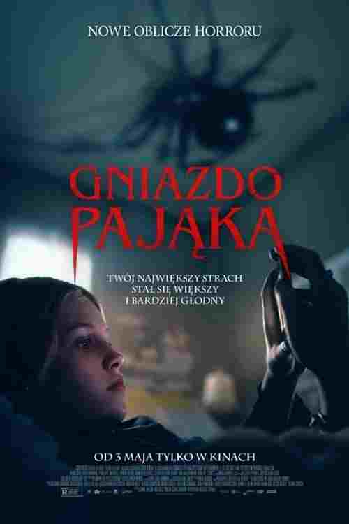  Gniazdo pająka 
