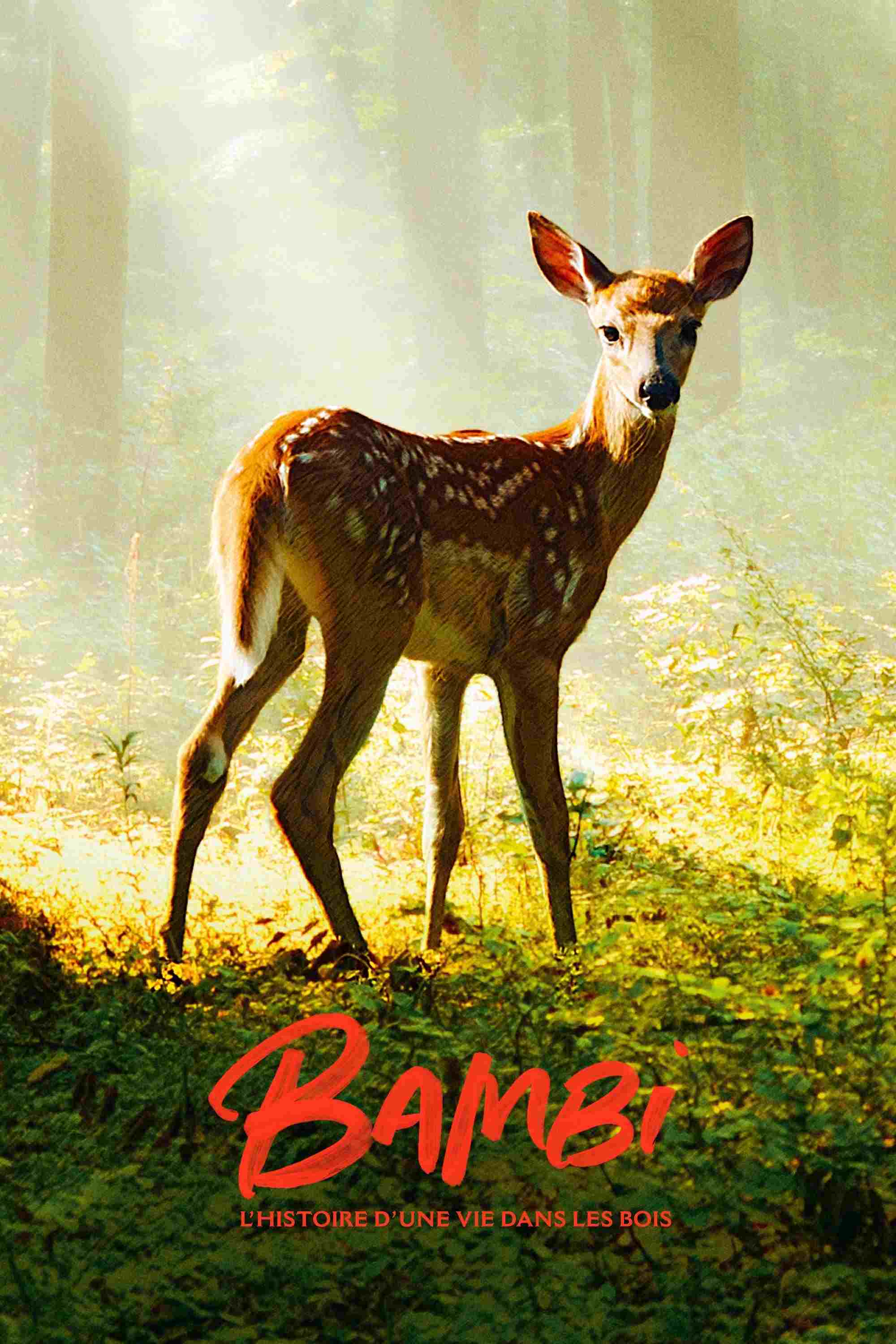  Bambi. Opowieść leśna 
