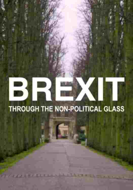  Brexit Through the Non-political Glass 