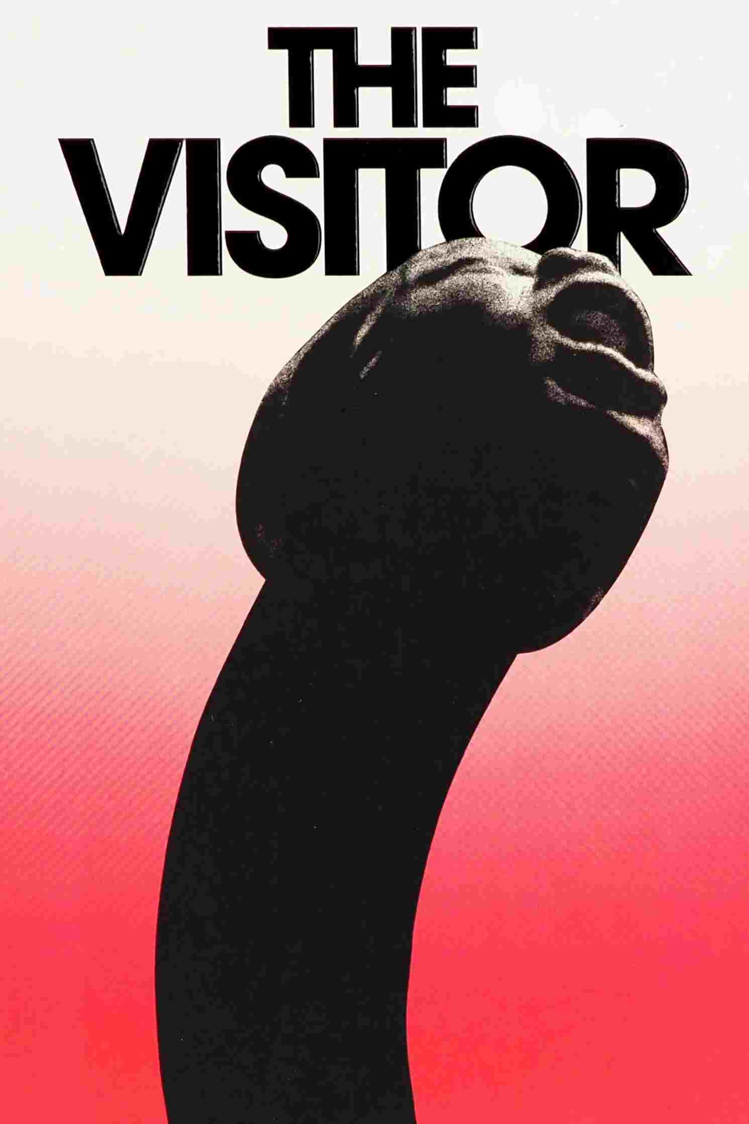 The Visitor 