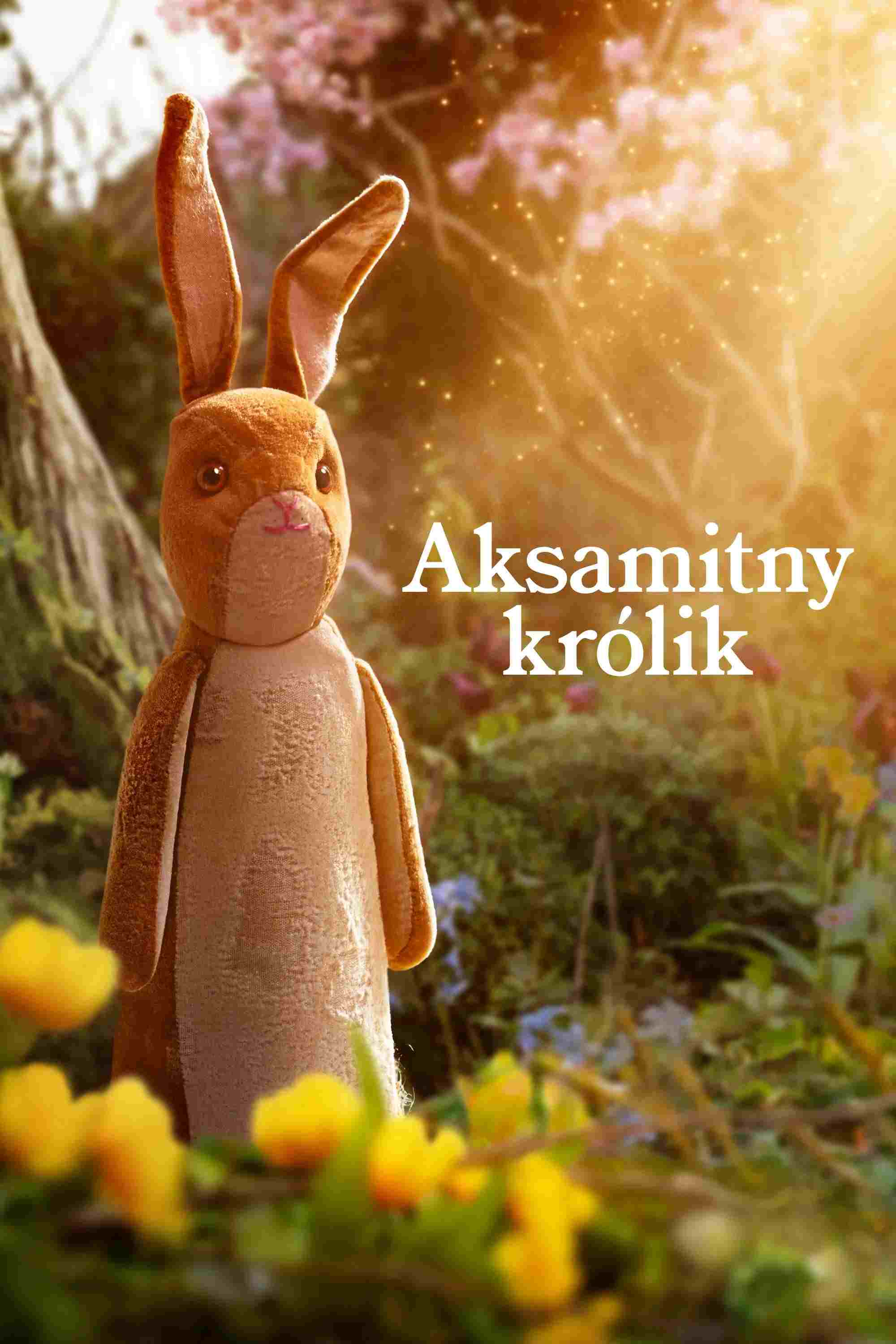  Aksamitny królik 