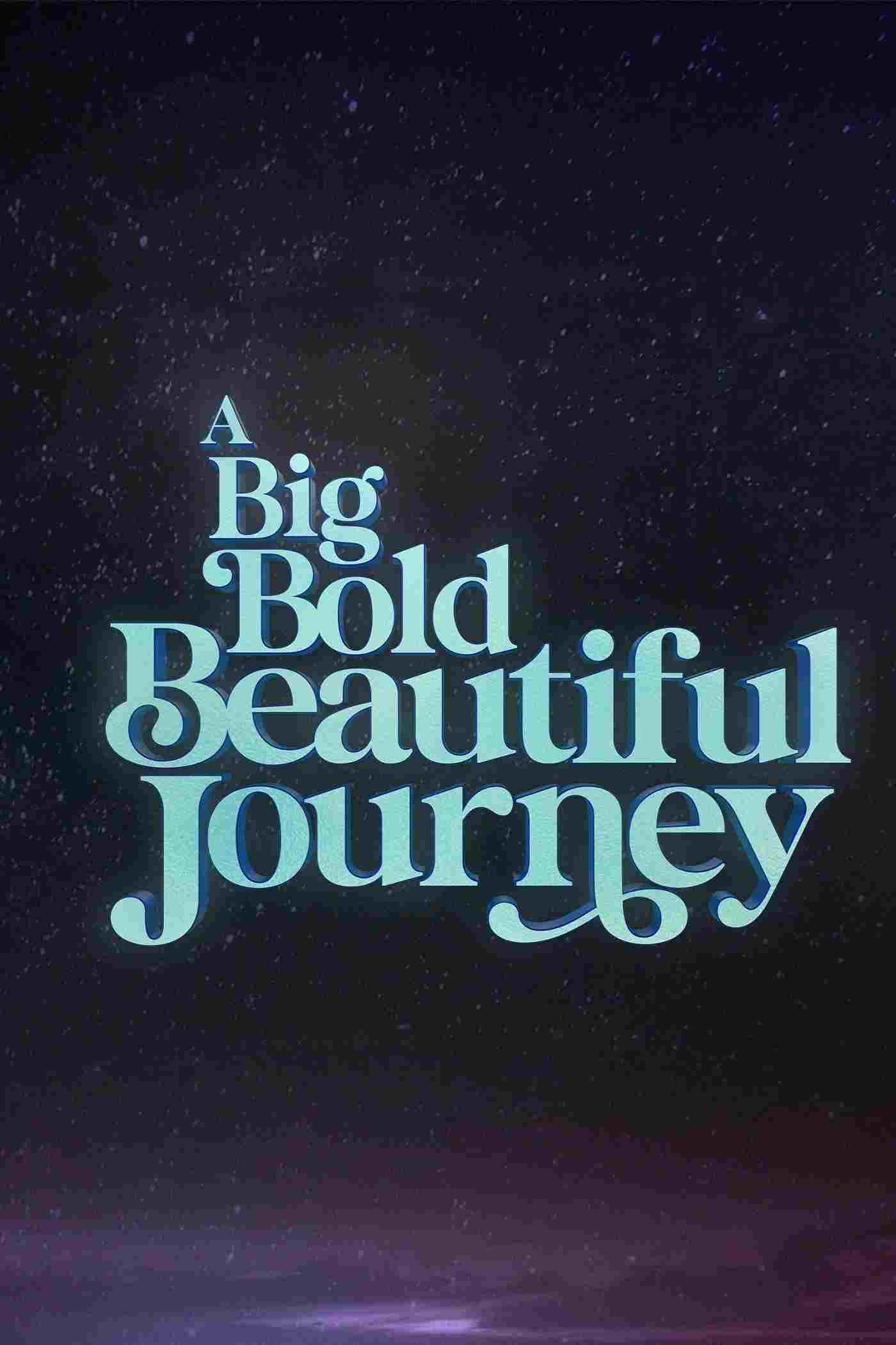  A Big Bold Beautiful Journey 