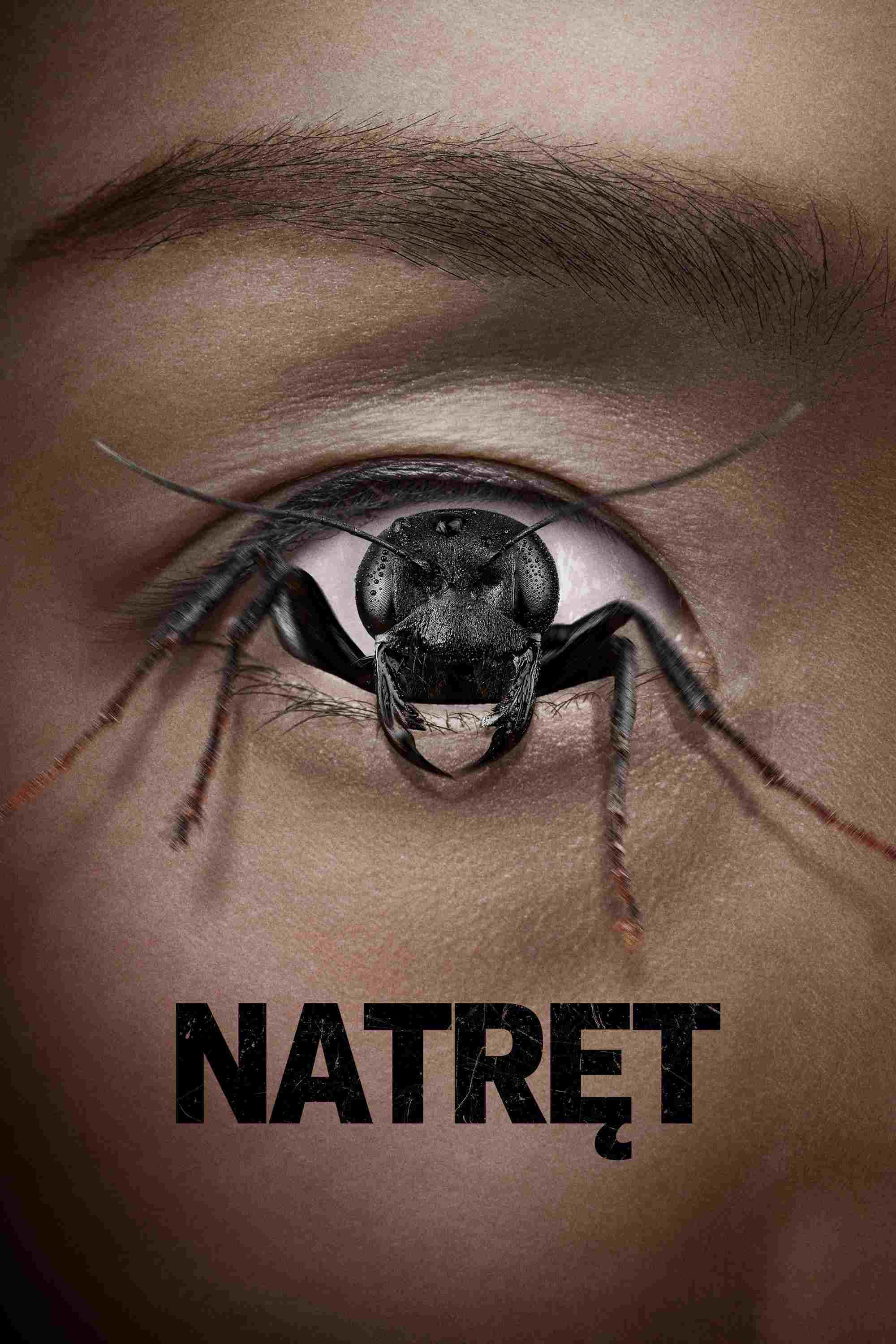  Natręt 