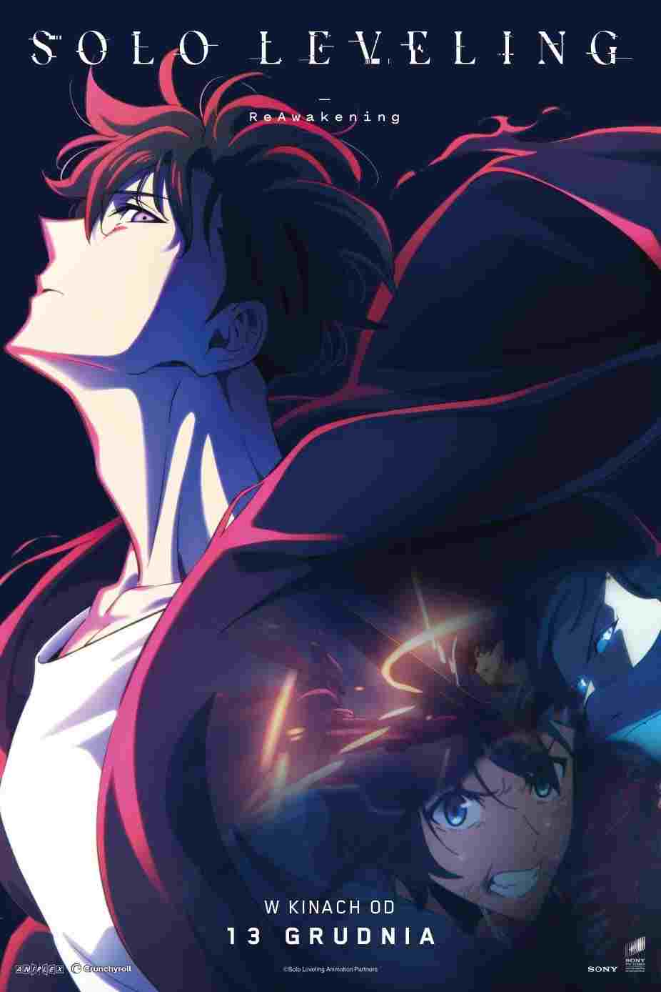  Solo Leveling -ReAwakening- 