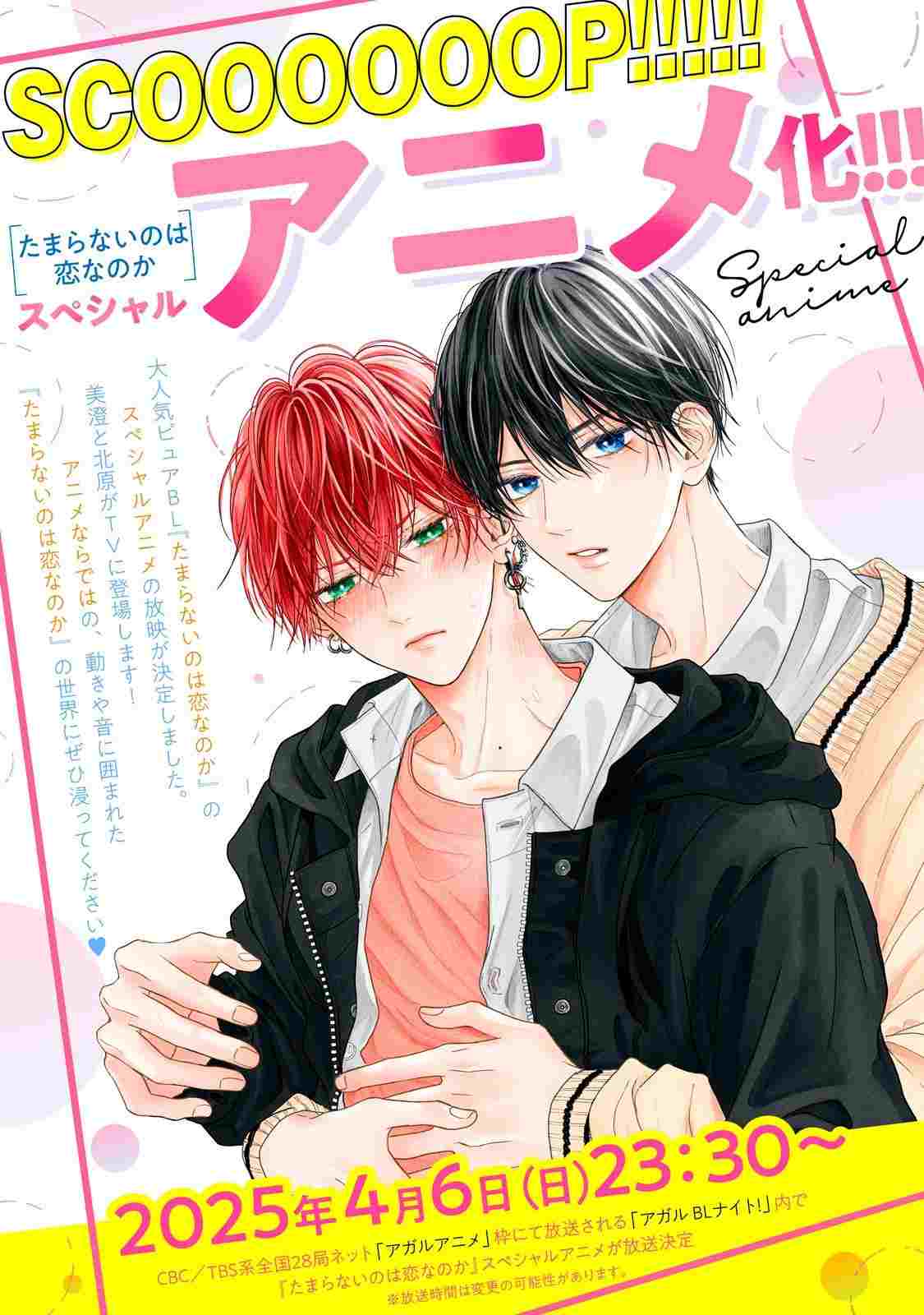  たまらないのは恋なのか 