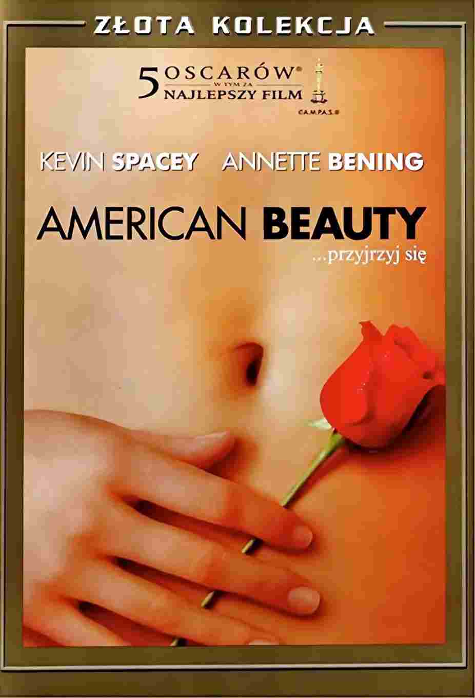  American Beauty 