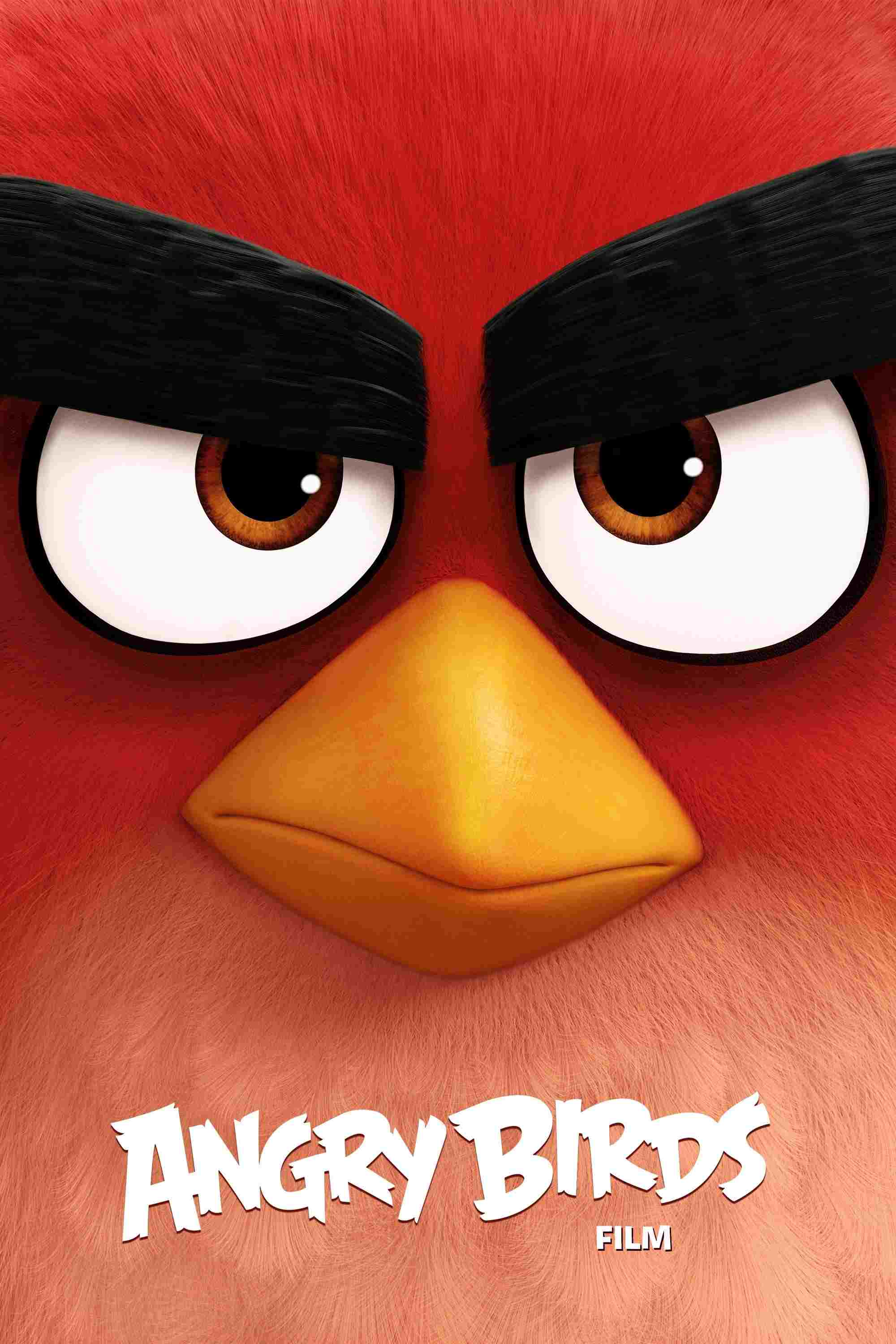  Angry Birds: Film 