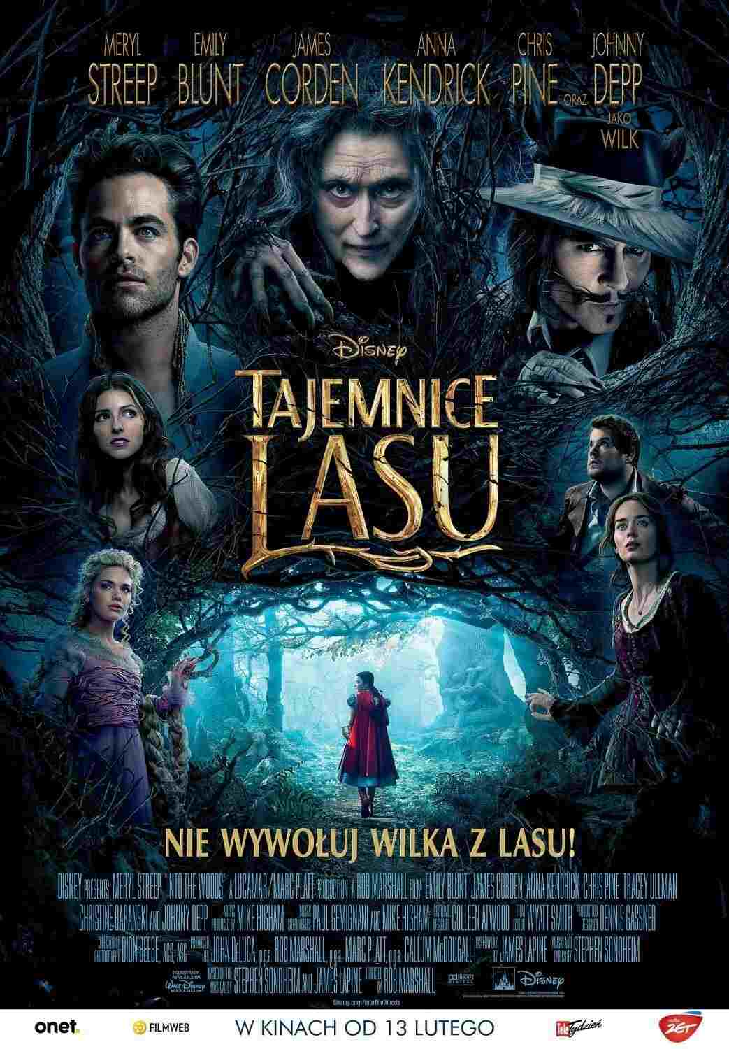  Tajemnice lasu 
