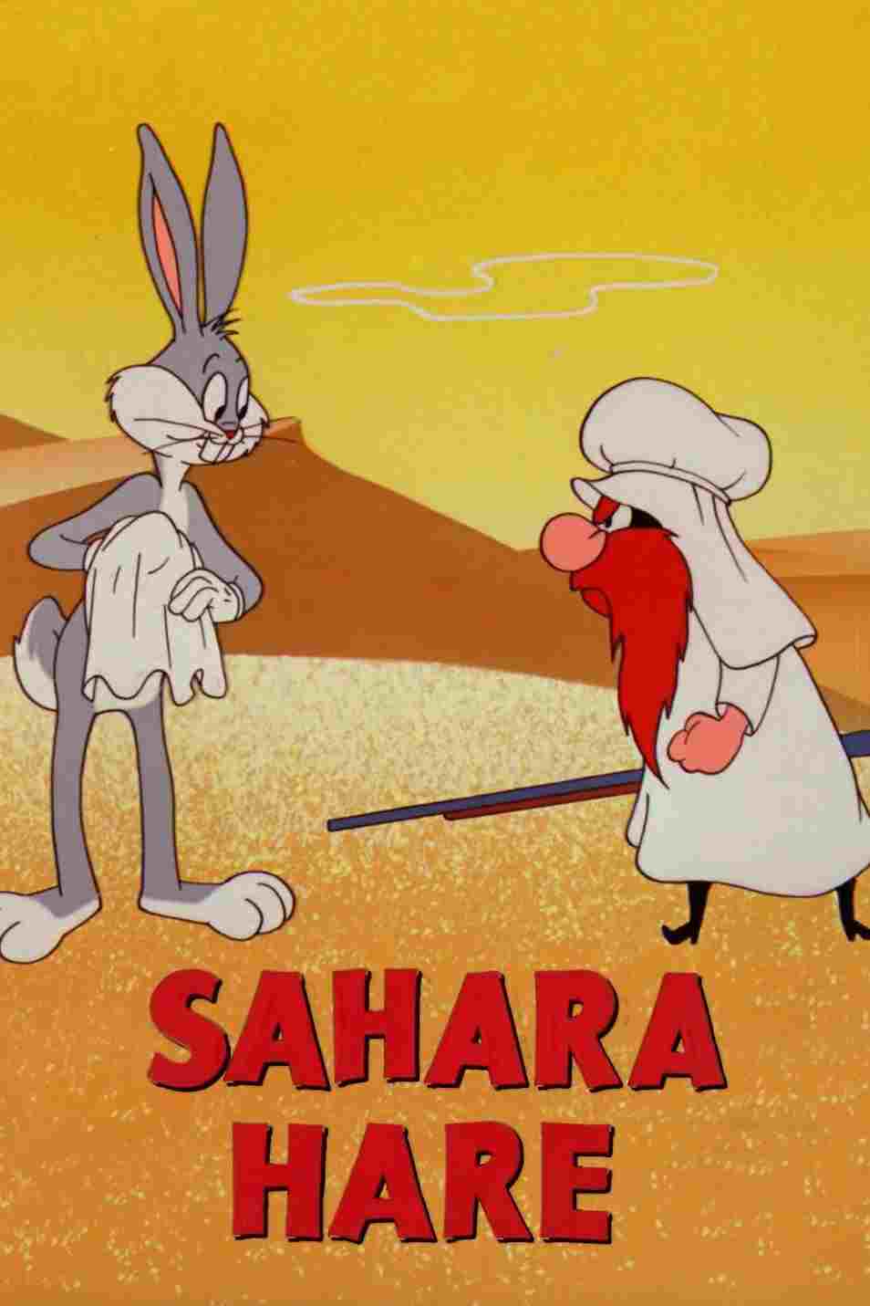  Sahara Hare 