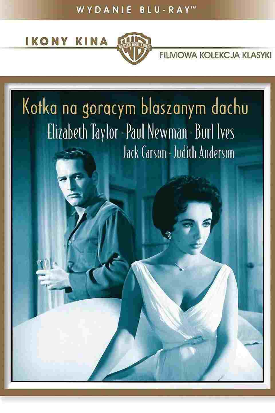  Kotka na gorącym, blaszanym dachu 