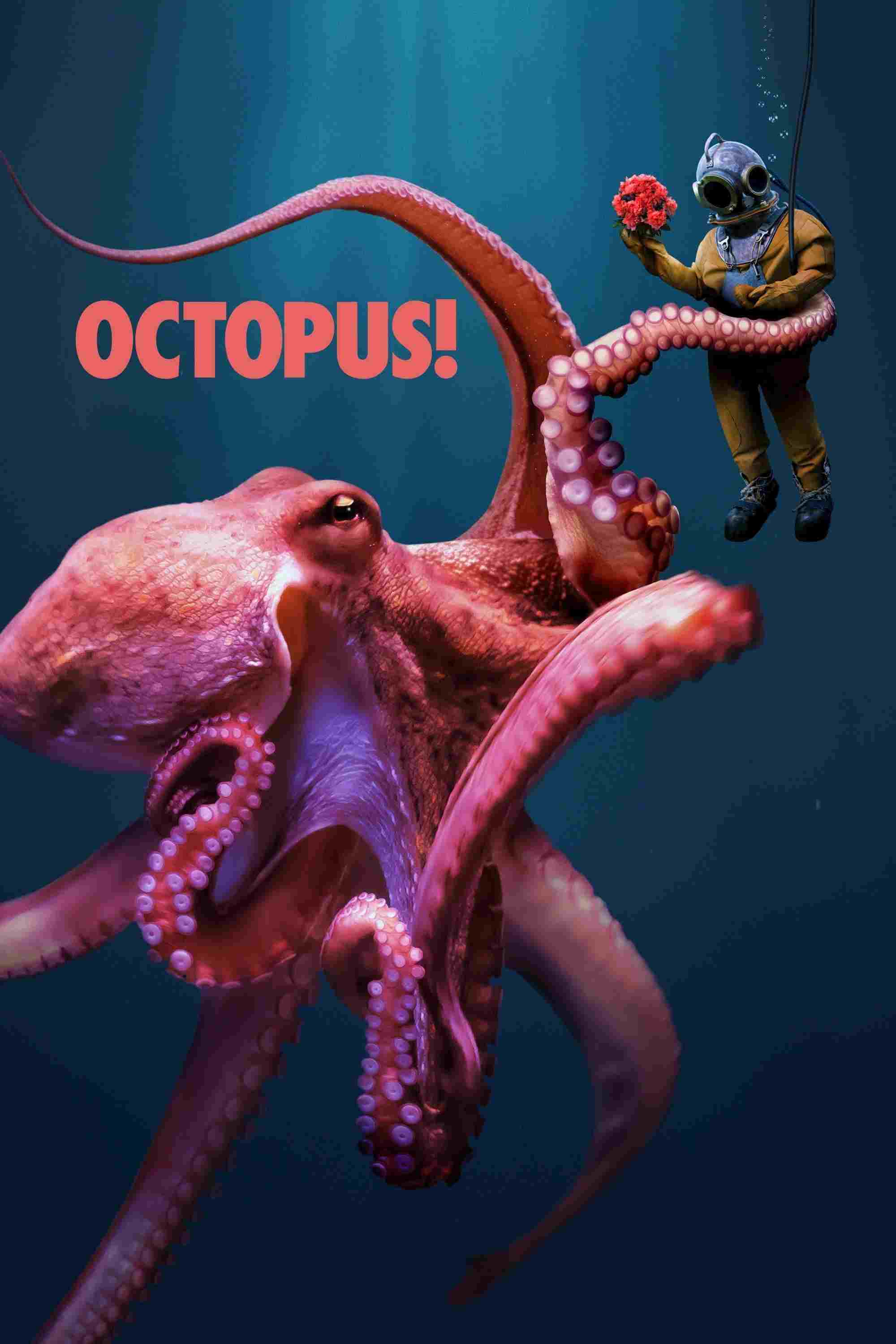  Octopus! 