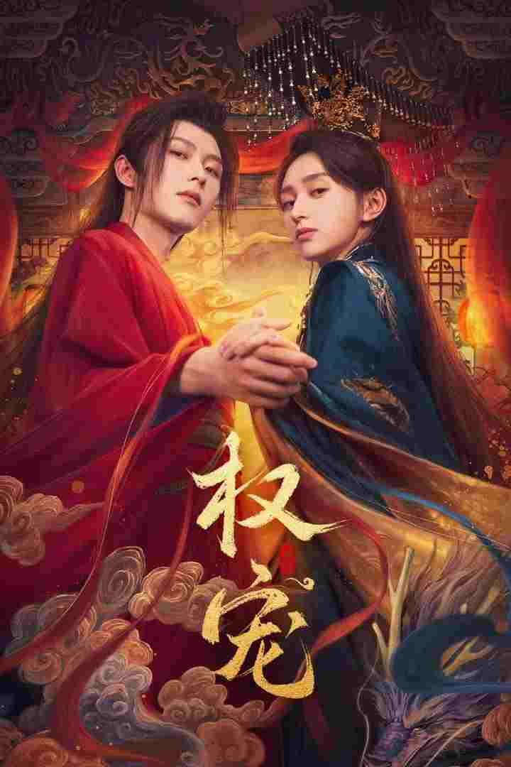  权宠 