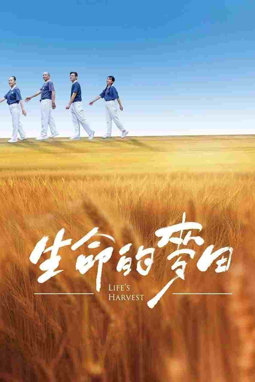  生命的麥田 