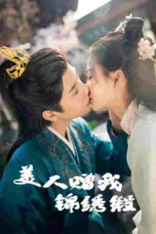  美人赠我锦绣缎 
