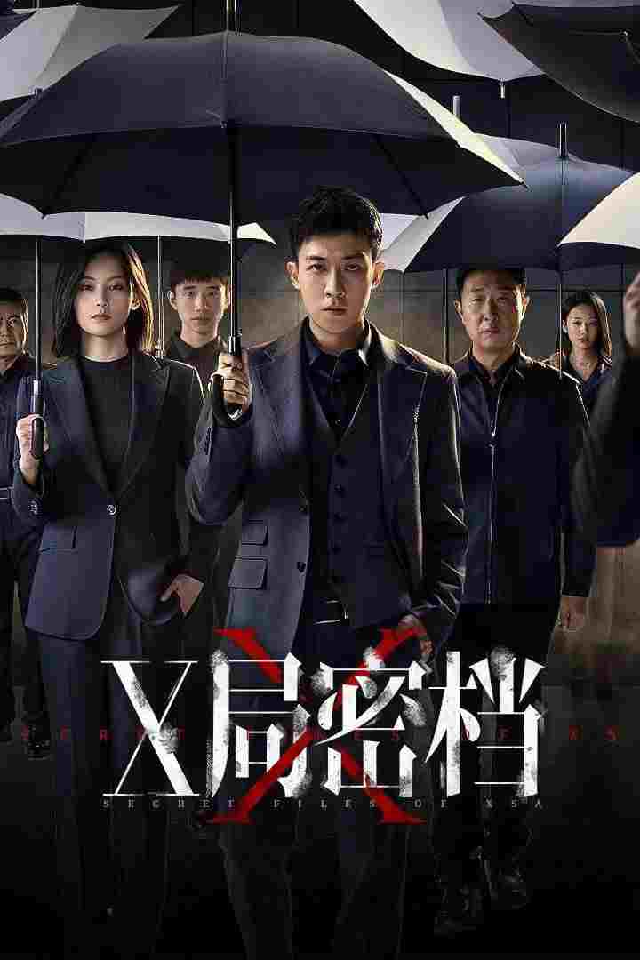  X局密档 