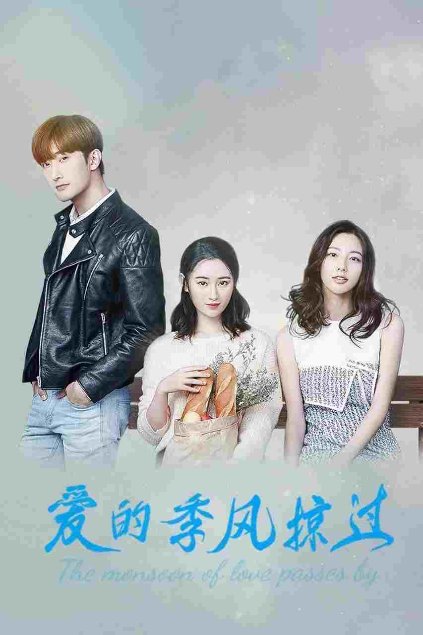  爱的季风掠过 