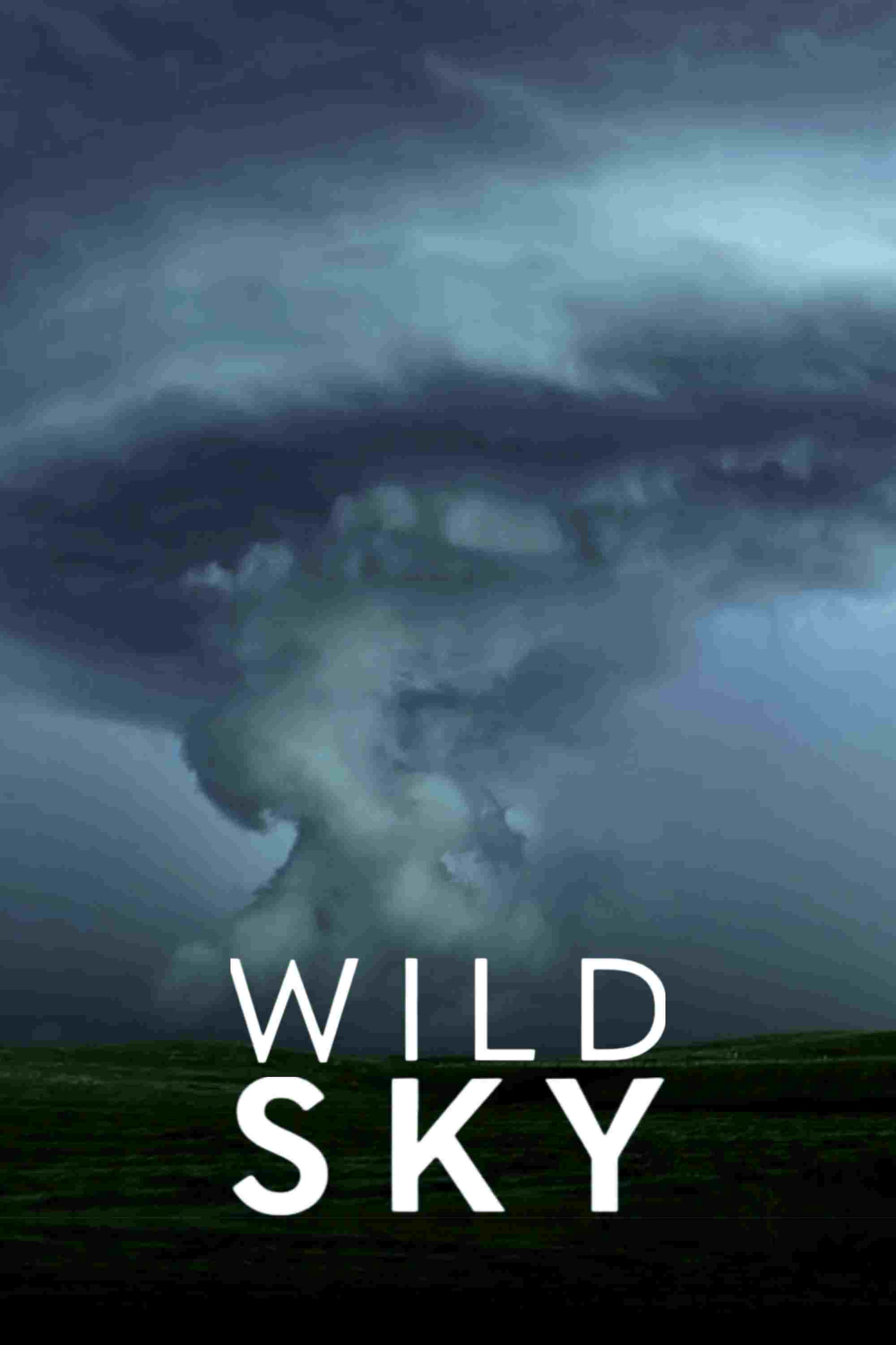  Wild Sky 