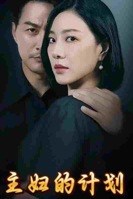  主妇的计划 