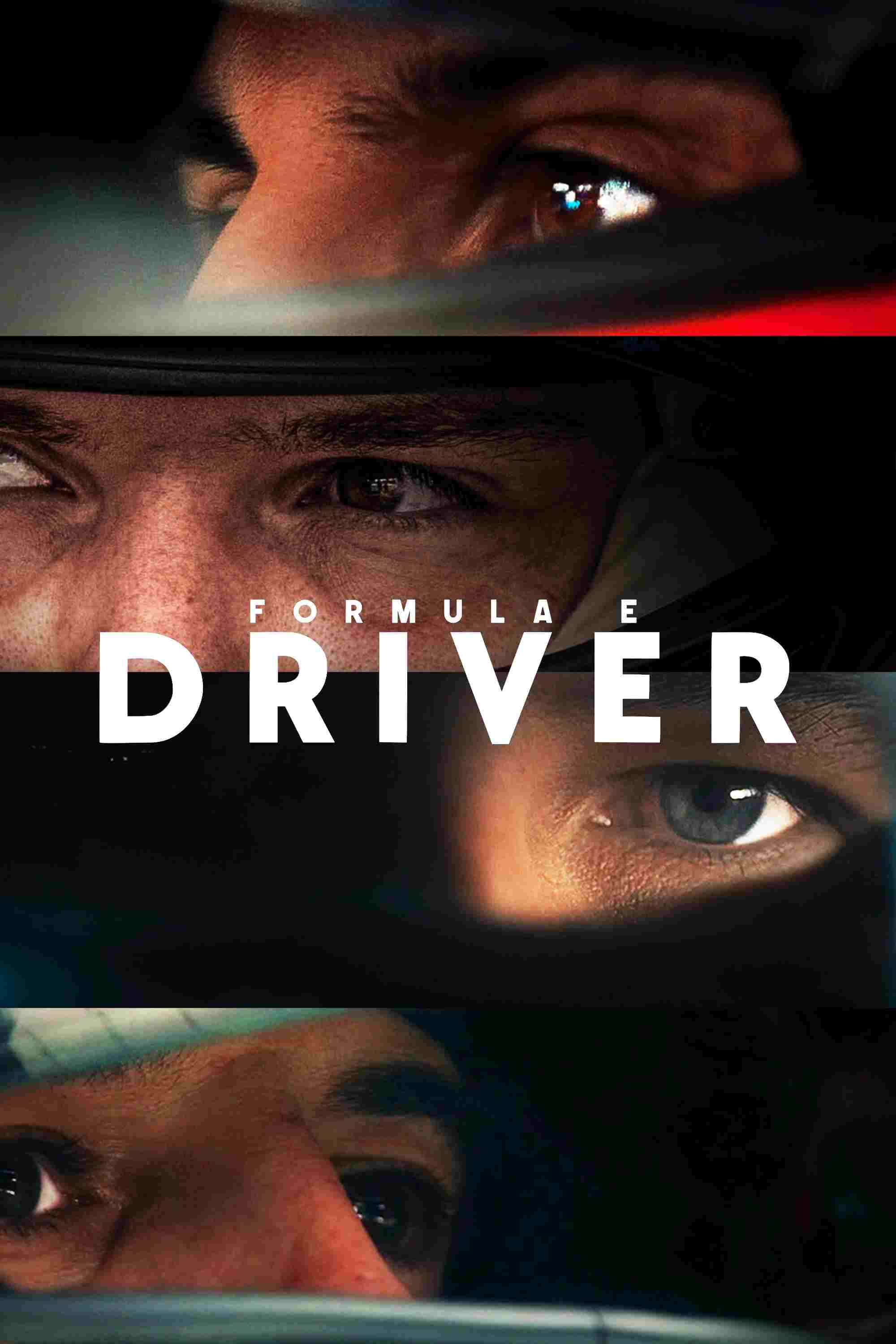  Formula E: DRIVER 