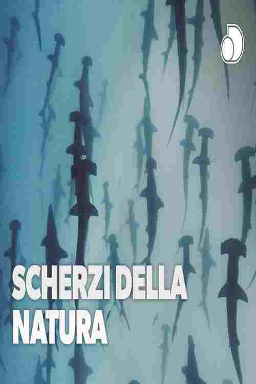  Scherzi Della Natura 