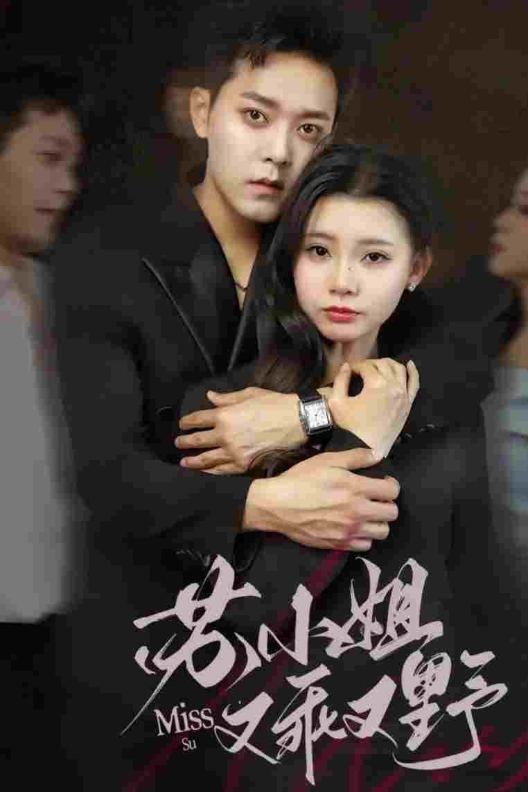  苏小姐又乖又野 