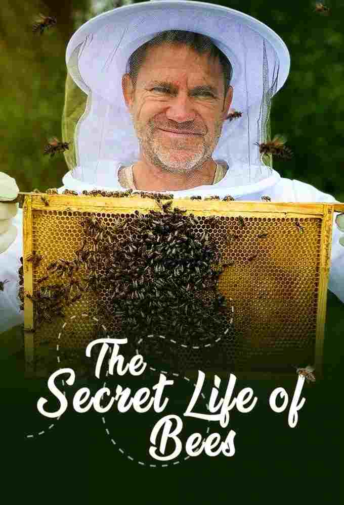  The Secret Life of Bees 