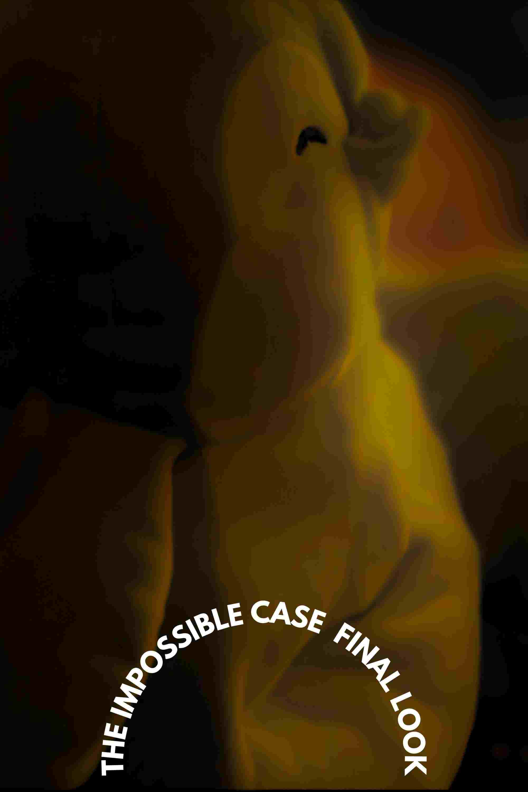  The Impossible Case: Final Look 