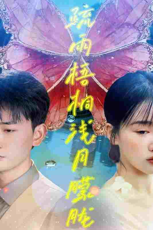  疏雨梧桐浅月朦胧 