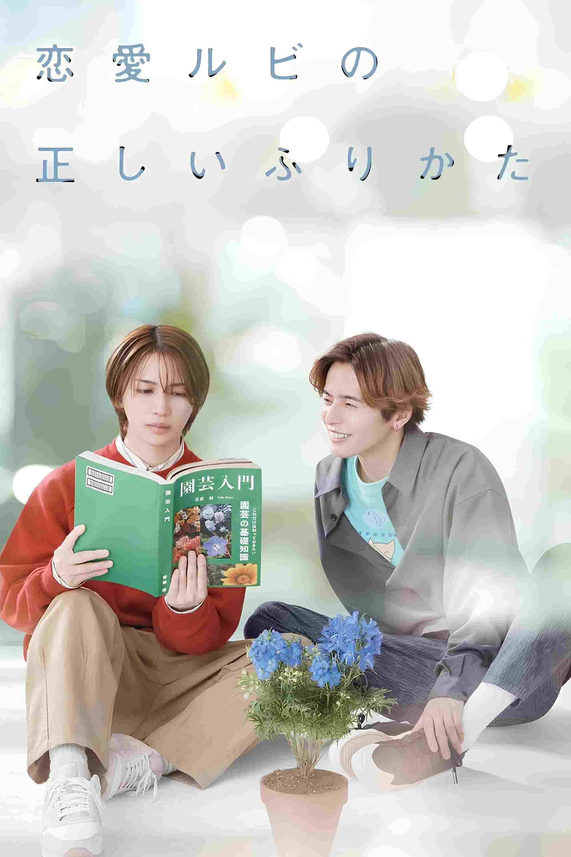  恋愛ルビの正しいふりかた 