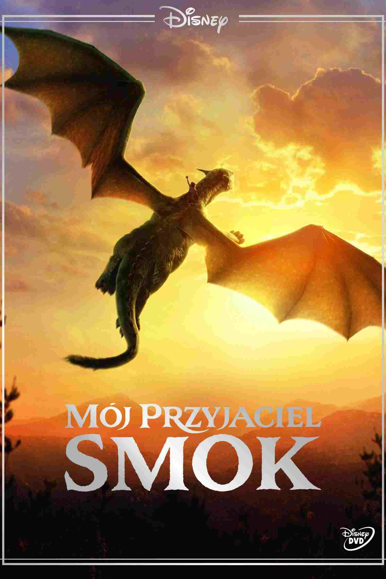  Mój przyjaciel smok 