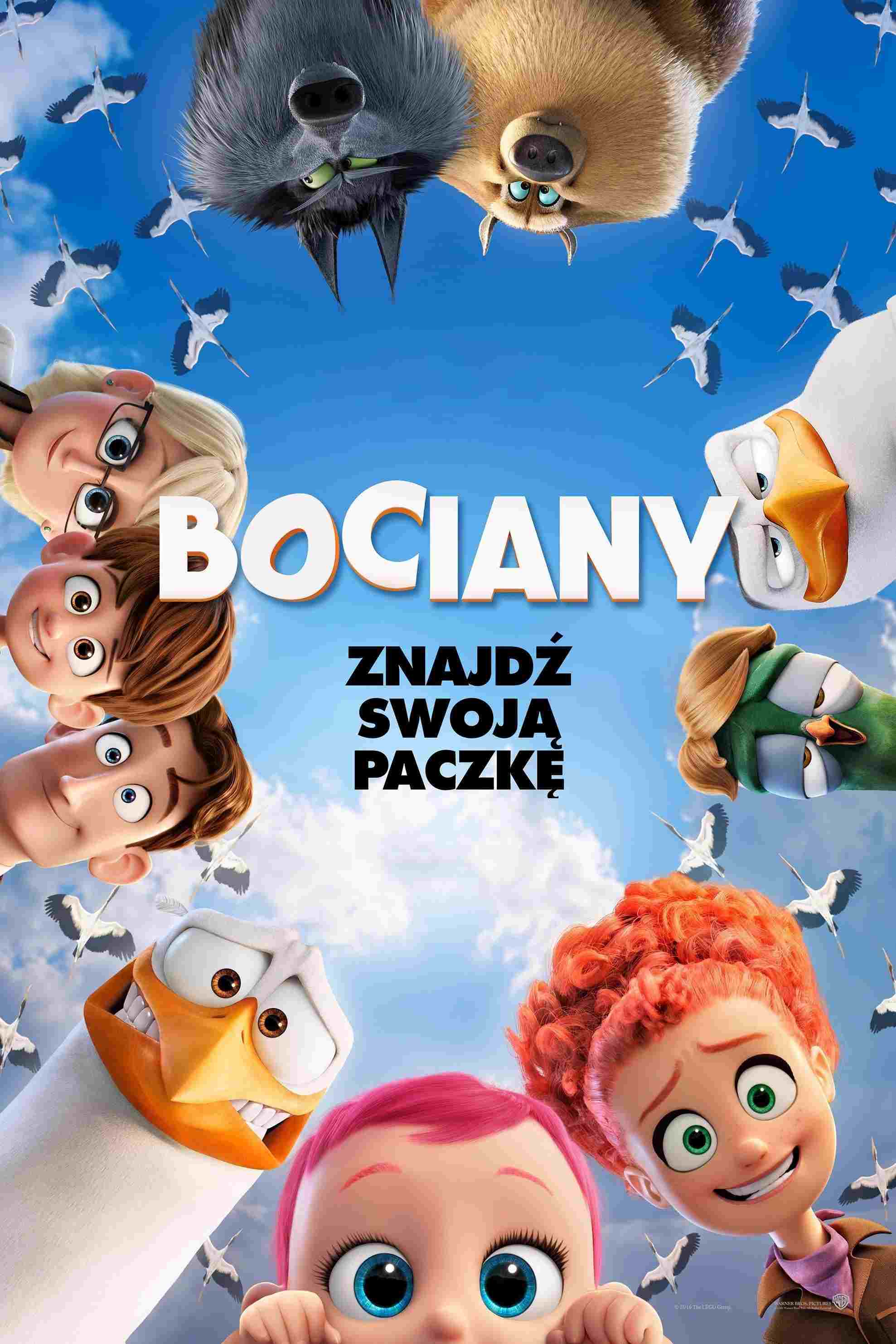 Bociany 