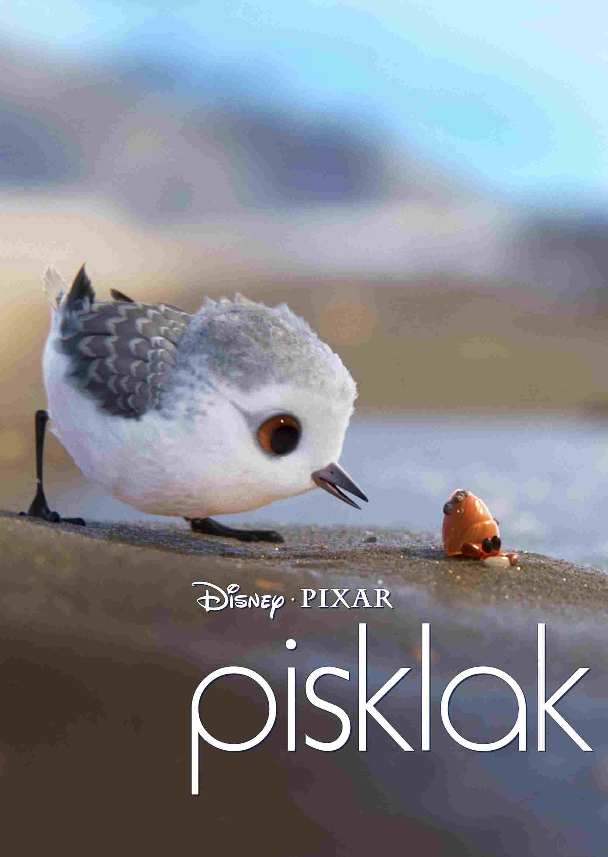  Pisklak 