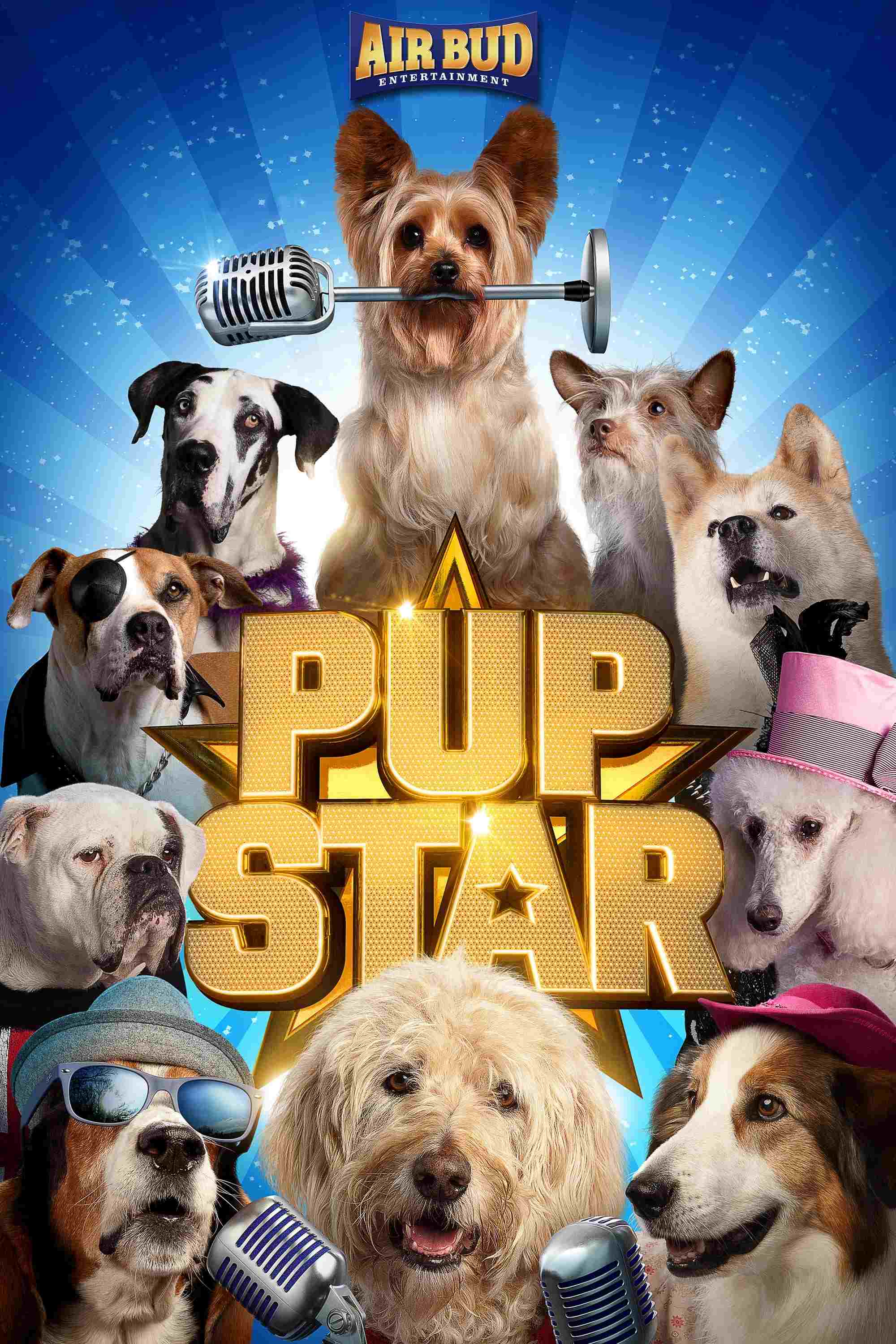  Pup Star 