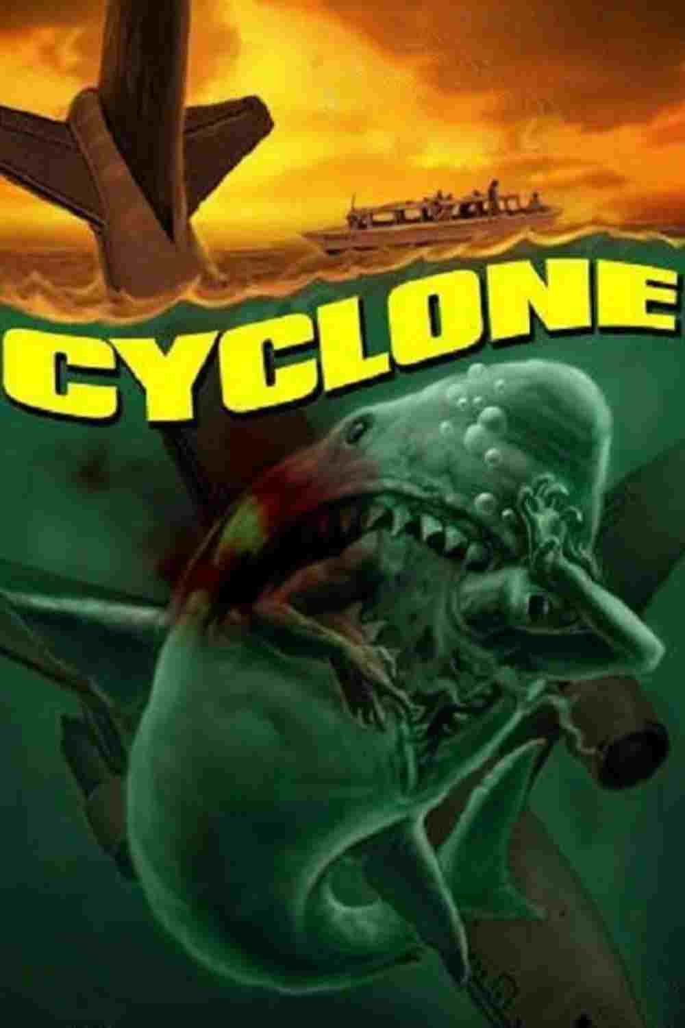  Cyclone 