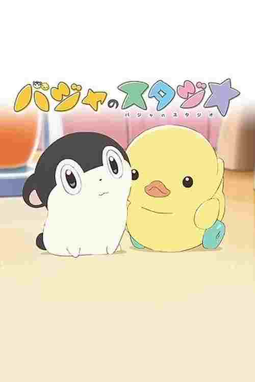  バジャのスタジオ 