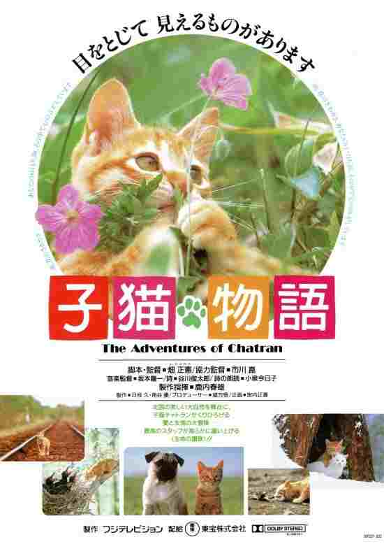  子猫物語 