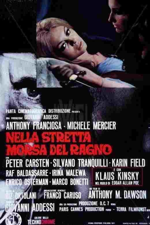  Nella stretta morsa del ragno 