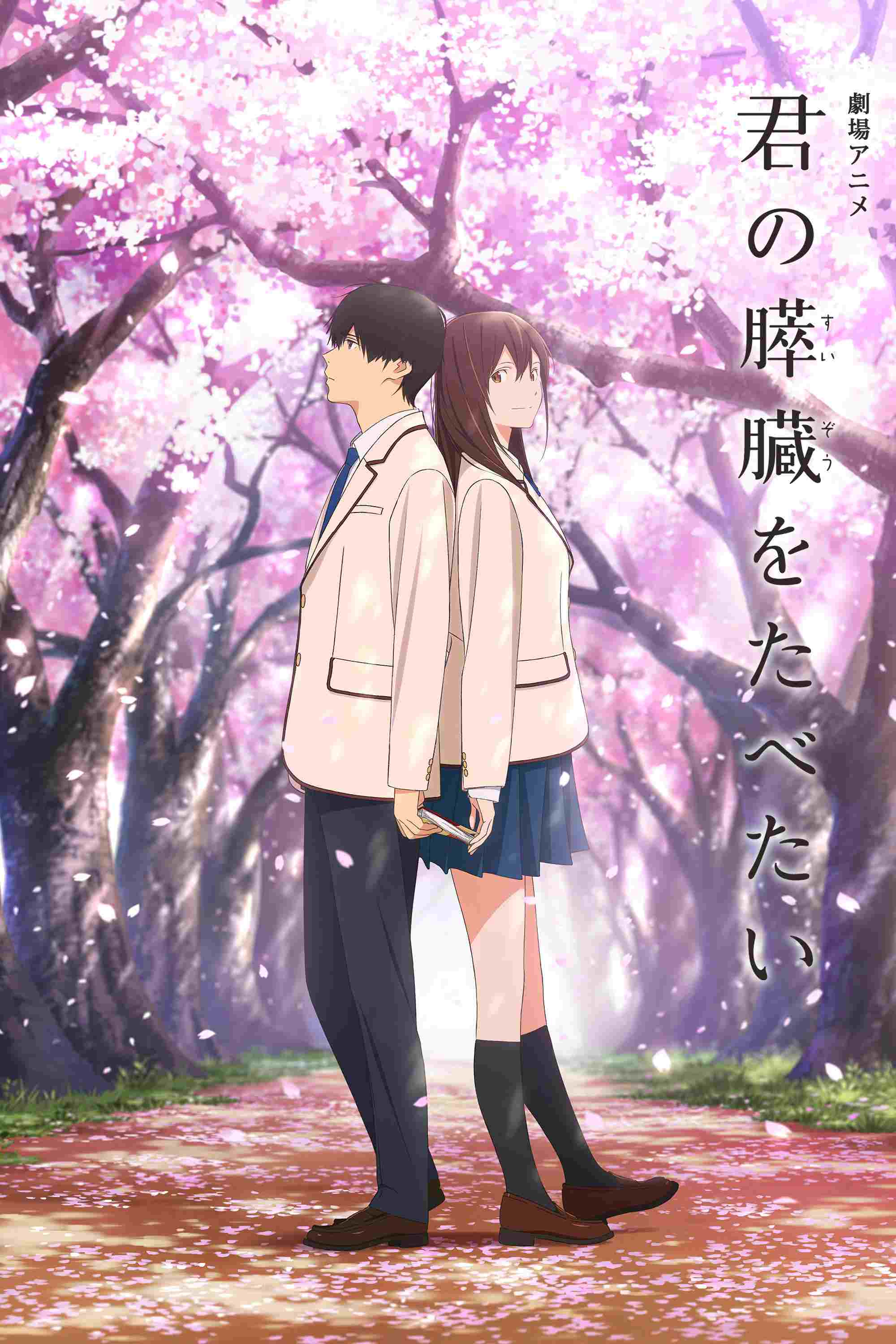  Kimi no Suizou wo Tabetai 