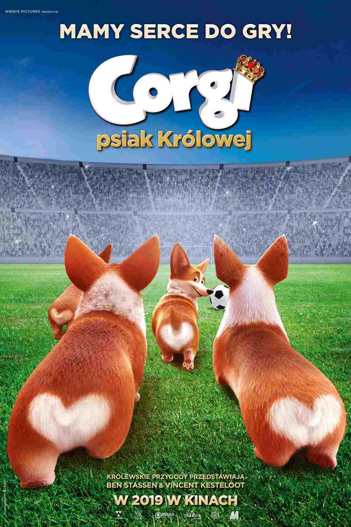  Corgi, psiak królowej 