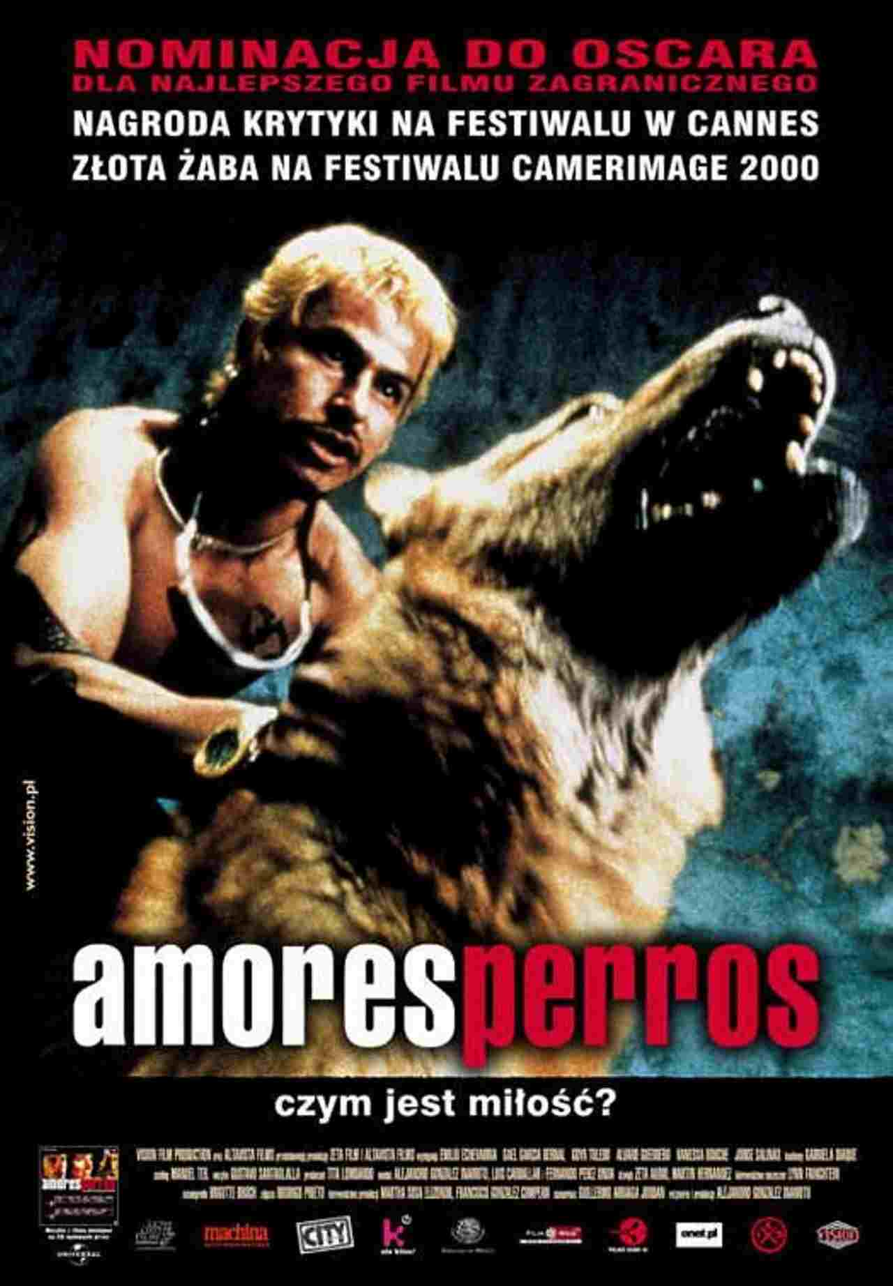  Amores perros 