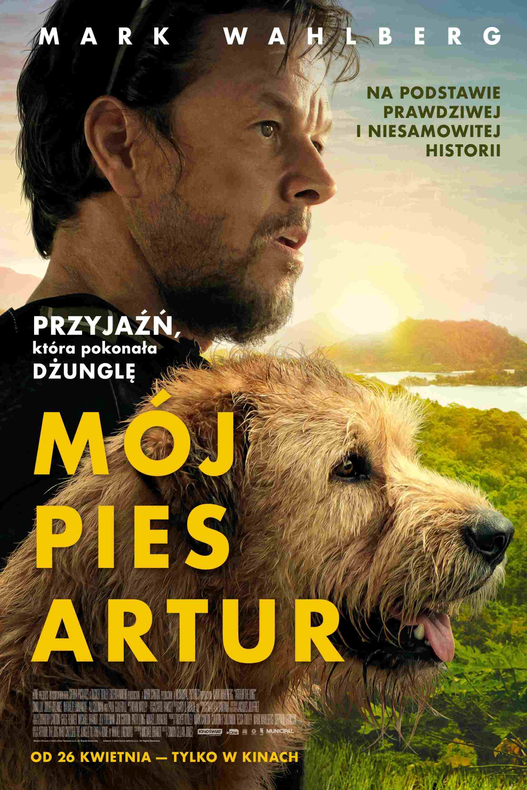  Mój pies Artur 
