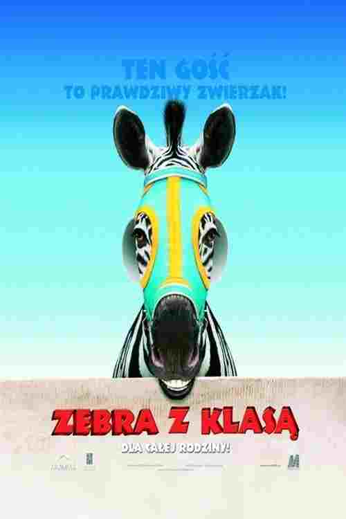  Zebra z klasą 