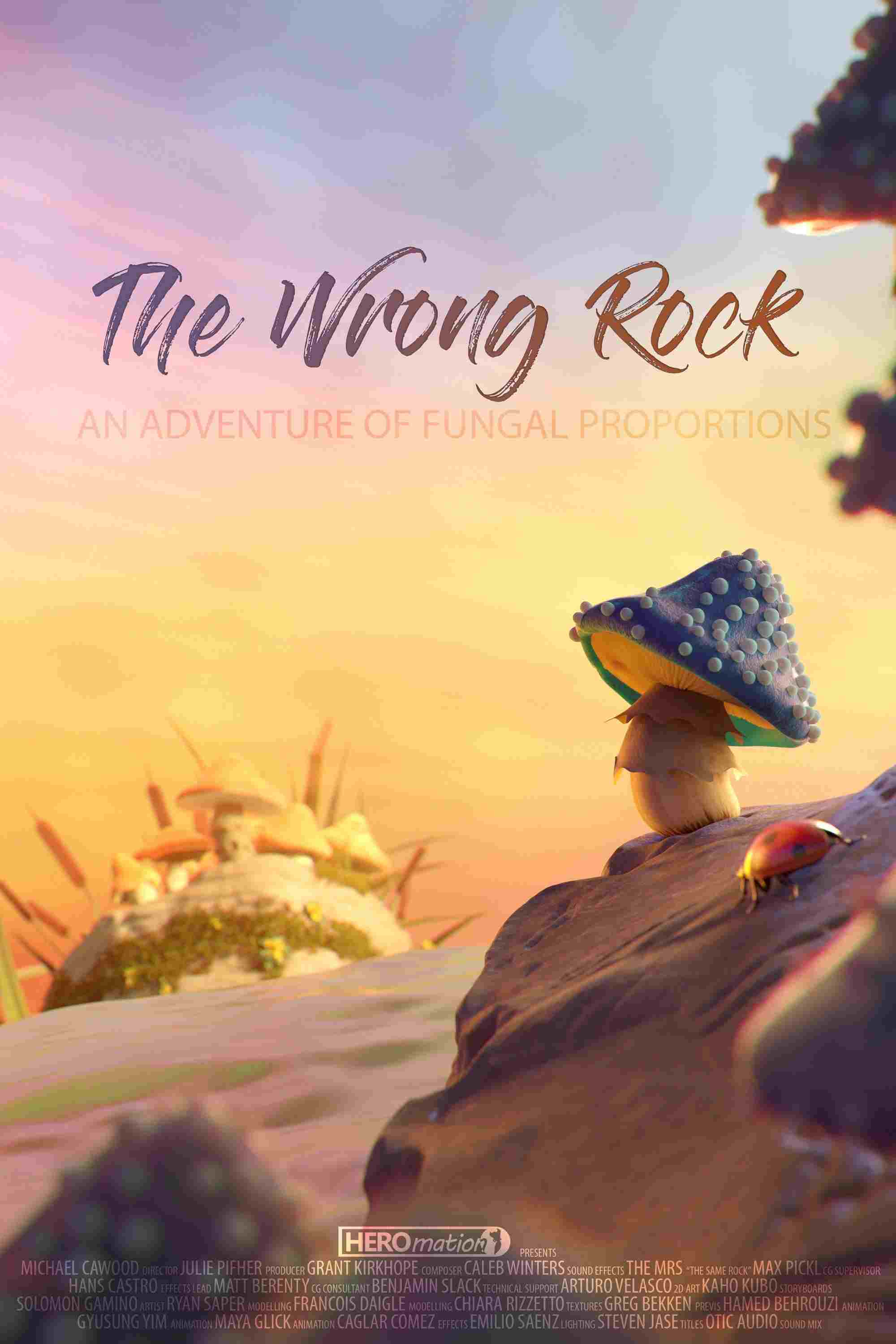  The Wrong Rock 
