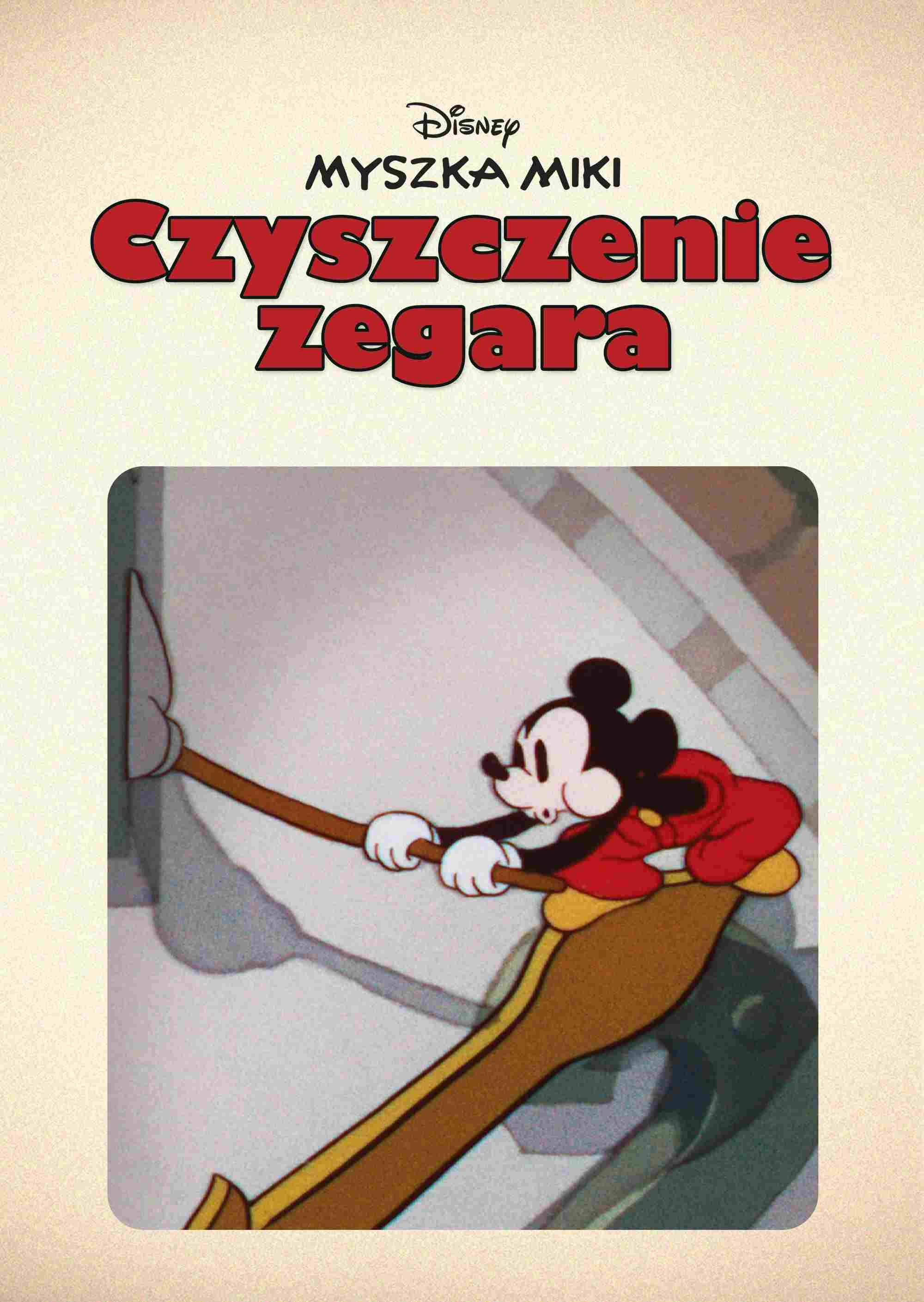  Czyszczenie zegara 