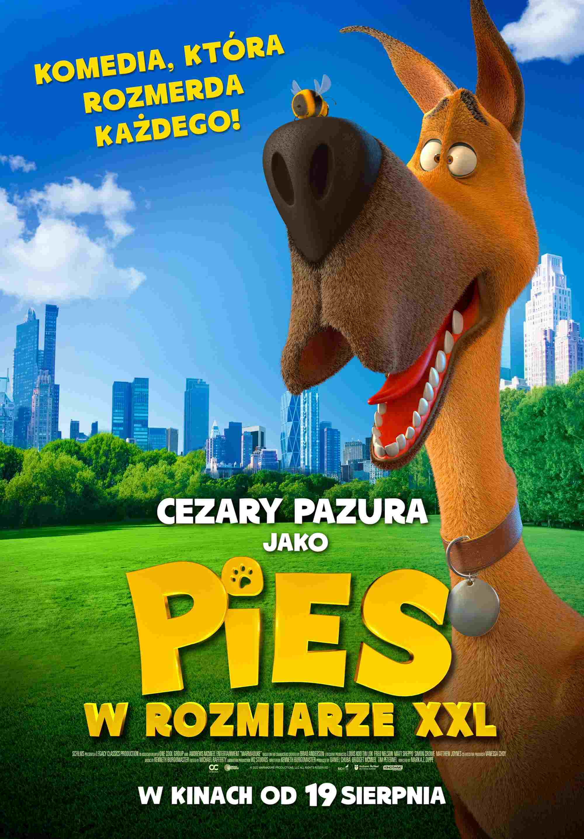  Pies w rozmiarze XXL 