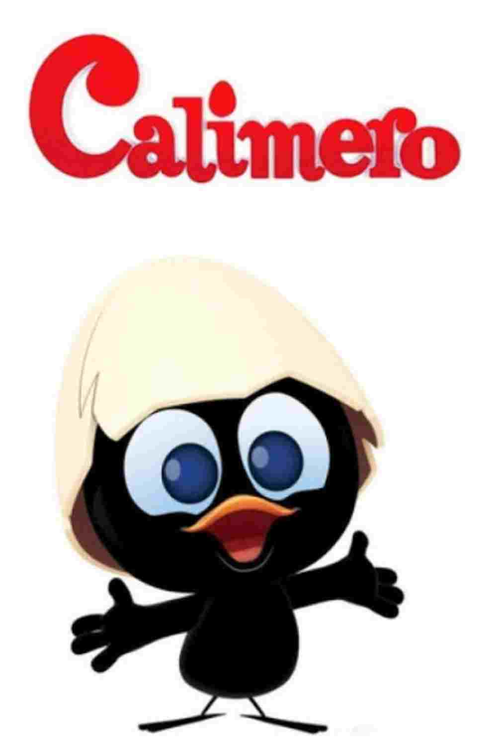  Calimero 