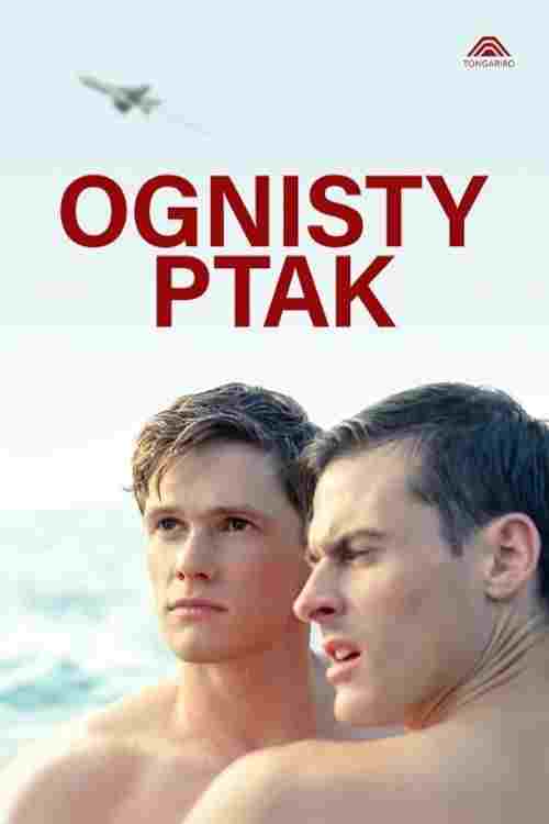  Ognisty ptak 