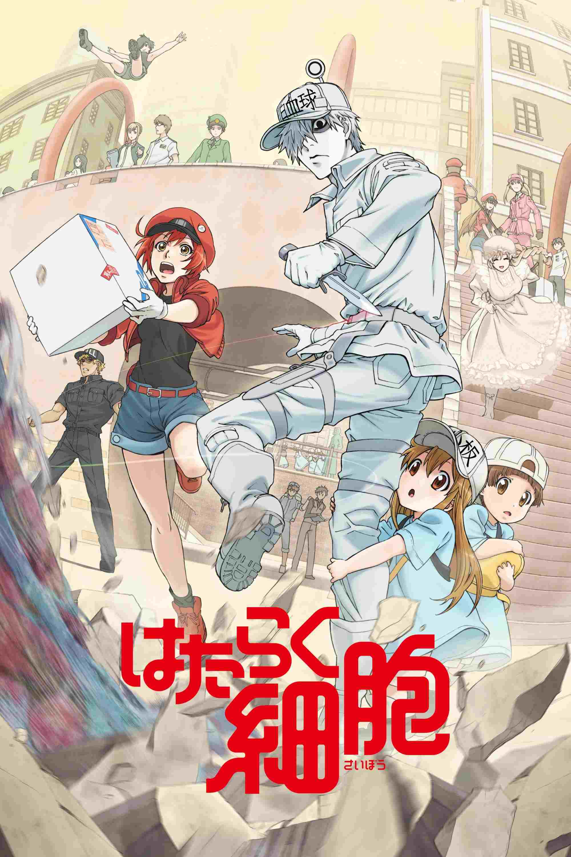  Hataraku Saibou 