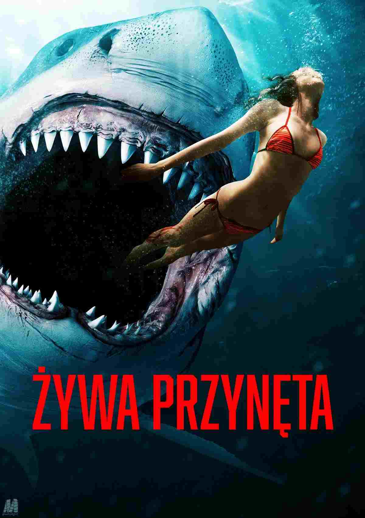  Żywa przynęta 
